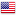 Flag of United States
